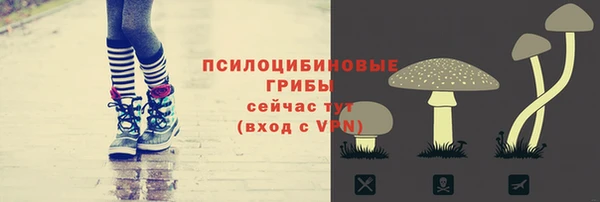 спиды Мегион