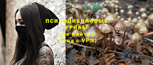 спиды Мегион