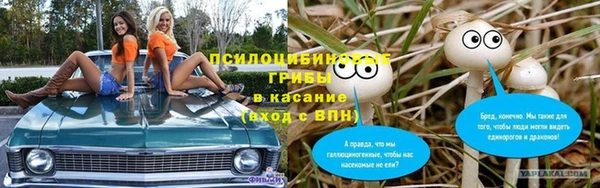 прущий лед Ельня