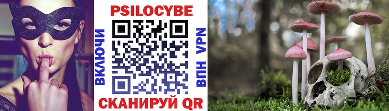 Галлюциногенные грибы Cubensis  купить   Бокситогорск 