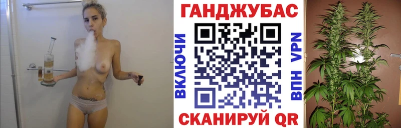 Бошки Шишки конопля мега зеркало Бокситогорск